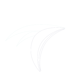 logo icon